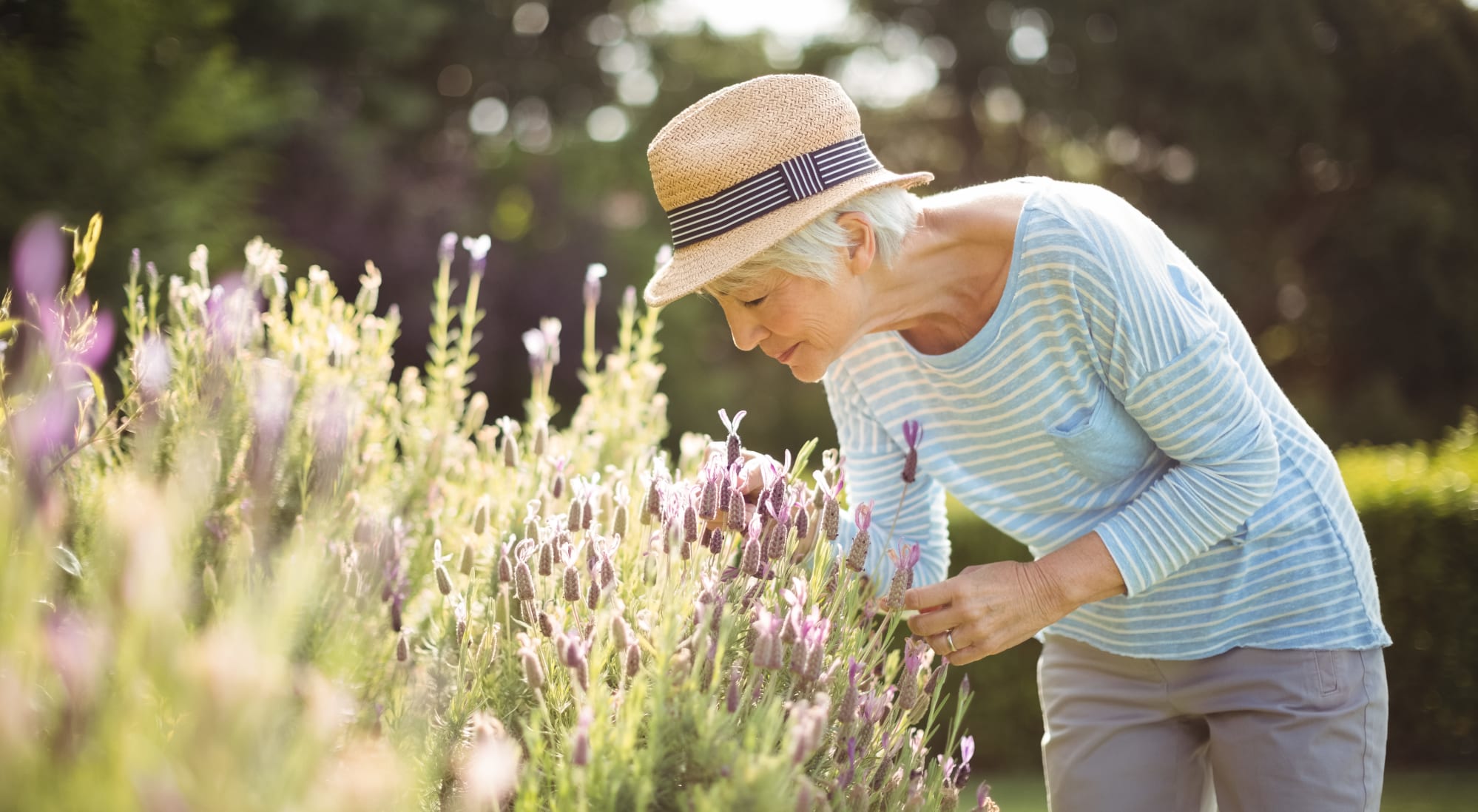 vista gardens memory care